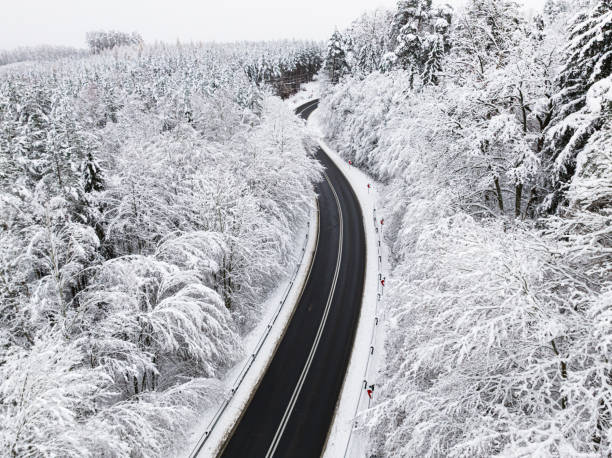Snowy forest with rime divided by asphalt road in winter in Poland. Snowy winter in nature.