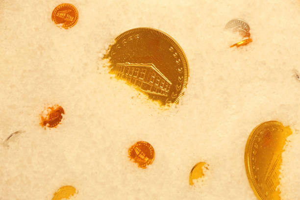 Golden Coins Luxury Dessert Chocolate in Snow