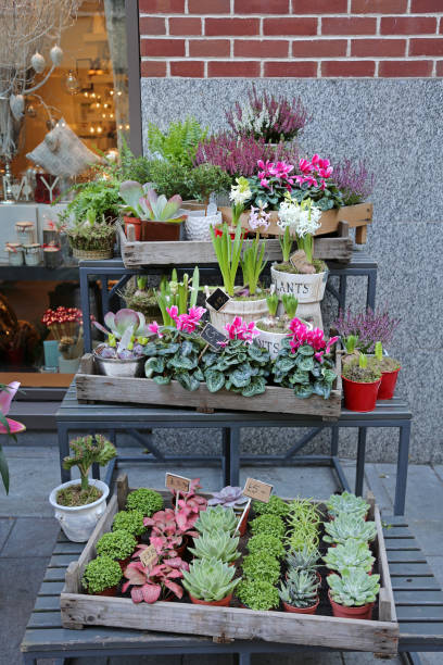 istock Florist Shop Winter 2163843530