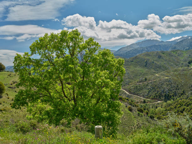 Mountain and cliffs inland in Crete, Greece