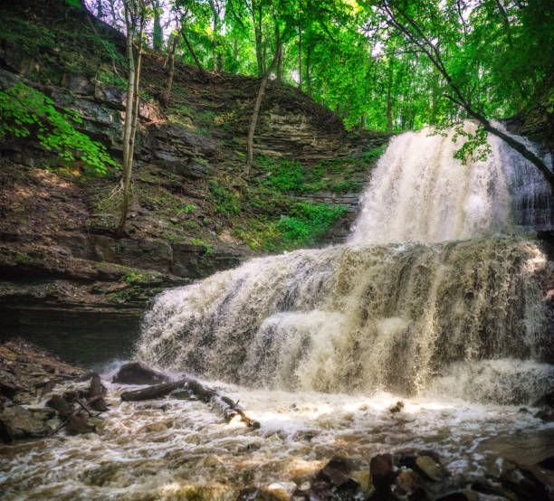Ozone Falls is a 110-foot waterfall in Tennessee located on the Cumberland Plateau near Crab Orchard.