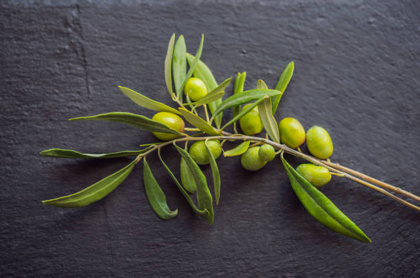 Green and black olives with leaves on dark background. Copy space, flat lay.
