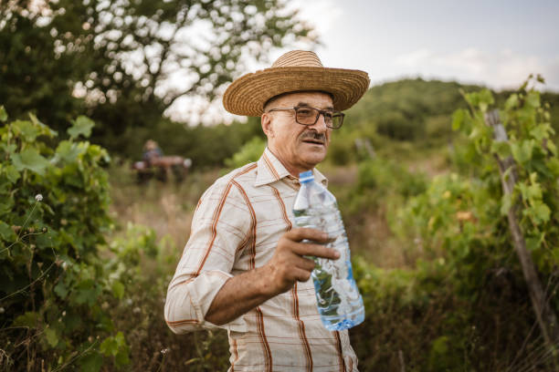 istock Senior man farmer take a break from work and cutting in the vineyard 2163846081