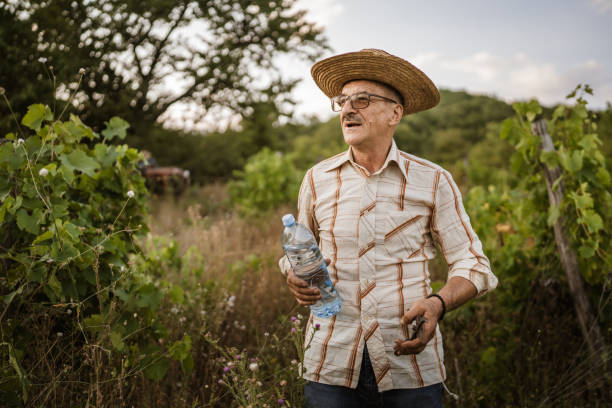 istock Senior man farmer take a break from work and cutting in the vineyard 2163846096