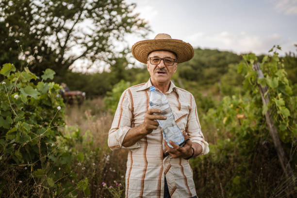 istock Senior man farmer take a break from work and cutting in the vineyard 2163846167