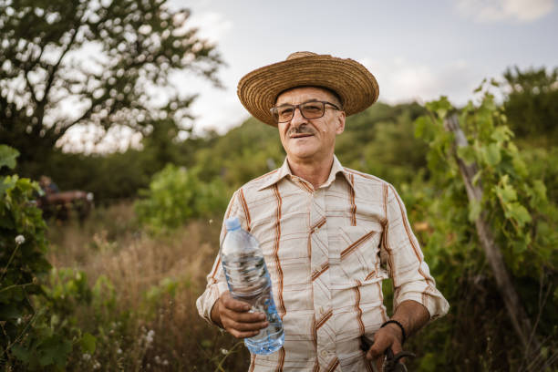 istock Senior man farmer take a break from work and cutting in the vineyard 2163846216