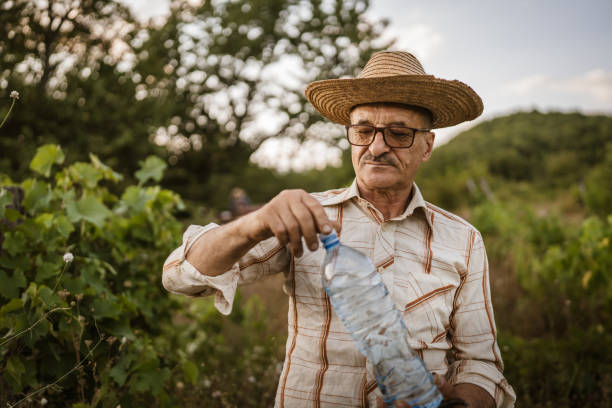 istock Senior man farmer take a break from work and cutting in the vineyard 2163846238