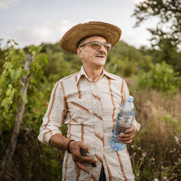 istock Senior man farmer take a break from work and cutting in the vineyard 2163846249