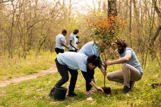 istock Activists and a kid installing a tree and covering hole in the ground 2163847516