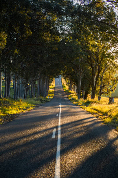 istock Country road, Hunter valley, Australia. 2163847640