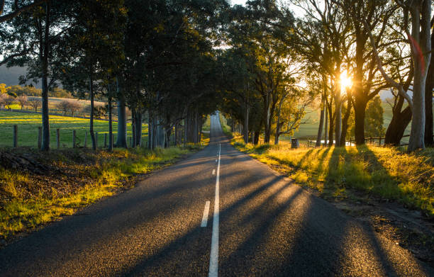 Country road, Hunter valley, Australia.