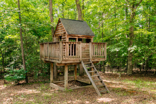 istock Sturdy Wooden Treehouse With Ladder Set Among Tall Trees In A Forest Setting. 2163860745