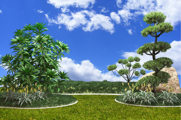 A lush green garden with a large tree in the background. The sky is blue and there are clouds in the background