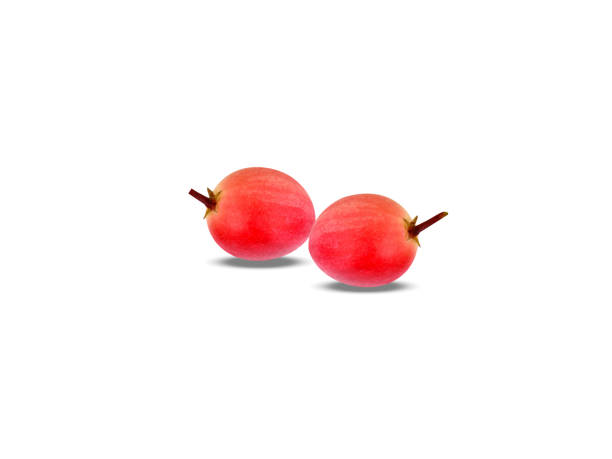 Carissa carandas fruits on white background