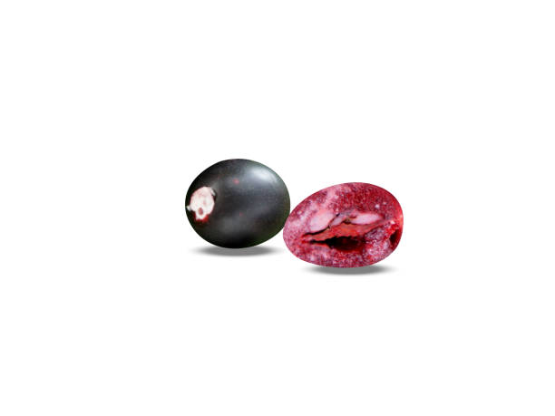 istock Carissa carandas fruits 2163869572