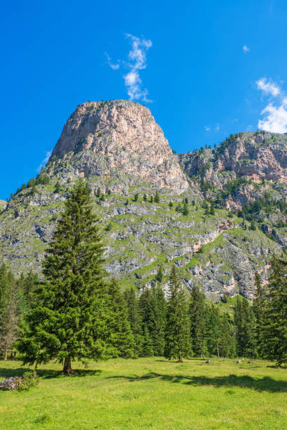 istock Mountain peak at a blue sky and a forest 2163876604