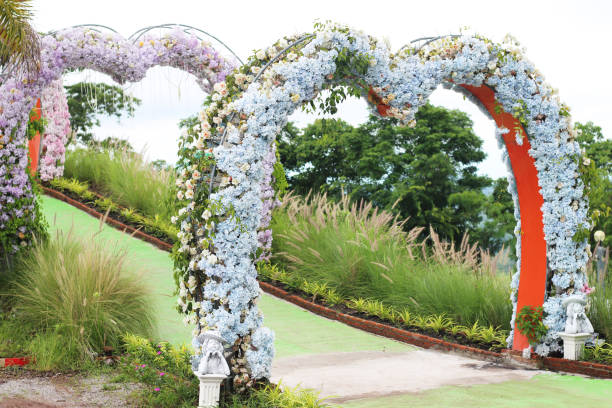 Walkway with heart-shaped flowers