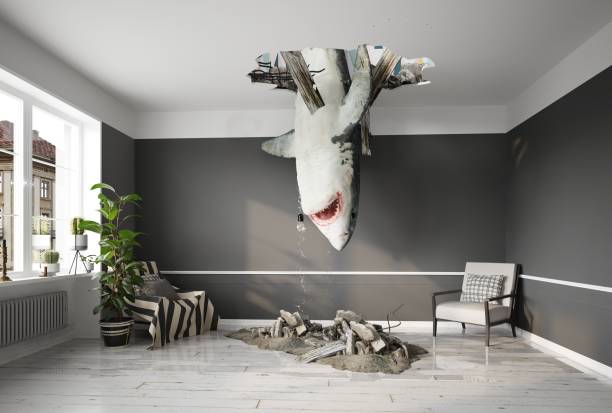 modern living room interior with a big shark