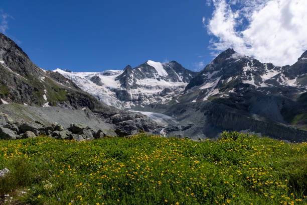 istock Alpine Meadow with Snow-Capped Mountains 2163883308