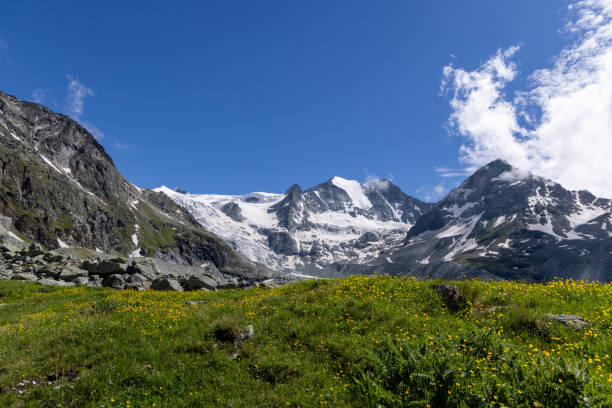 istock Snow-Capped Mountains with Flowering Alpine Meadow 2163883309