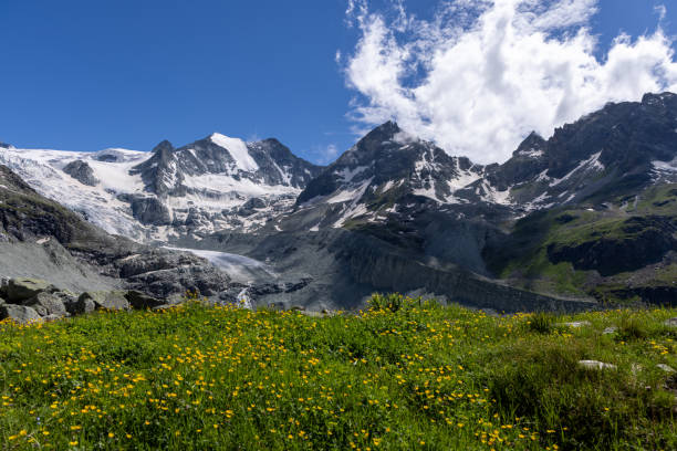 istock Alpine Meadow with Snow-Capped Mountains 2163883315