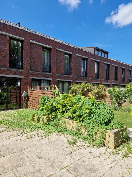 istock Overgrown domestic garden 2163883561