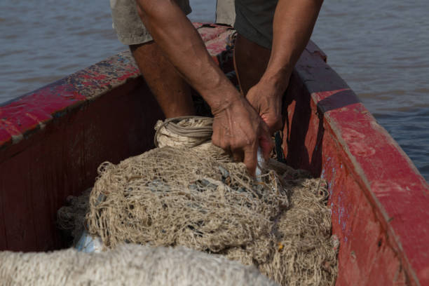 istock Tropical River Fishing 2163883740