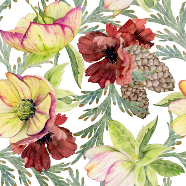 Poppy anemone flower, spruce fir tree cones, juniper branches. Watercolor hand drawn illustration seamless pattern isolated on white. Xmas, happy new year festive noel navidad holiday. Paper, textile