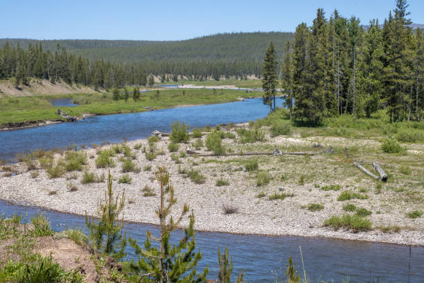 The Snake River, originating from Yellowstone's Two Ocean Plateau, is a major tributary of the Columbia River. It has been known by various names, with the Shoshone Indians naming it as early as 1812. They referred to parts of the river as \