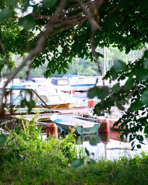 Picture of boats in a harbor