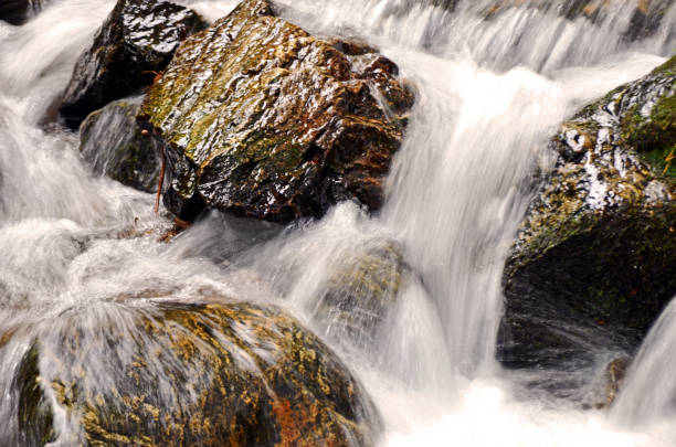 Waterfall in rain forest.
