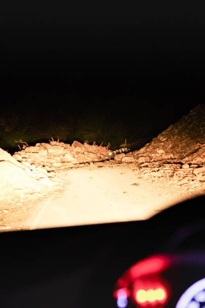 istock Night driving along the roads. 2163891770