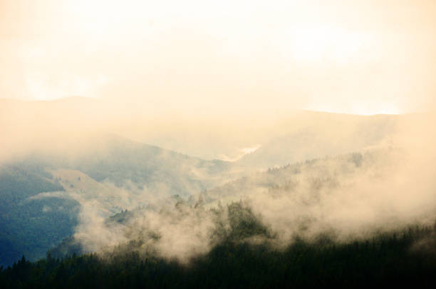 fog covers the mountains and forests