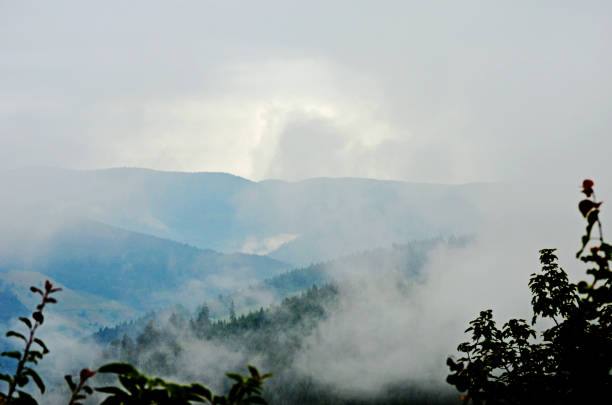 fog is coming in over the hills in a typical german landscape