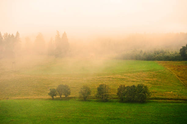 foggy, misty scenerie. typical german landscape out of a fairytale