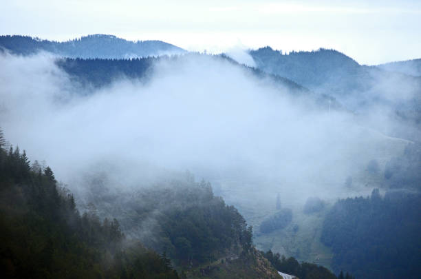 fog covers the mountains and forests