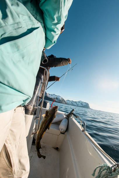 istock Side view of huge fish held by skier on hook while standing in boat 2163899220