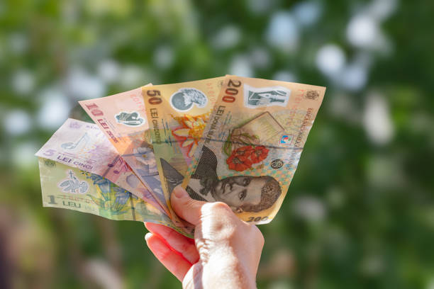 istock Fan of Romanian Lei banknotes in hand 2163900552