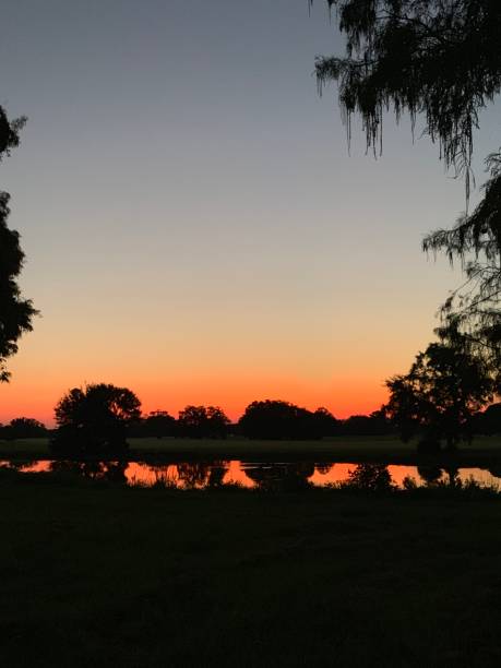 istock New Orleans sunrise 2163902148
