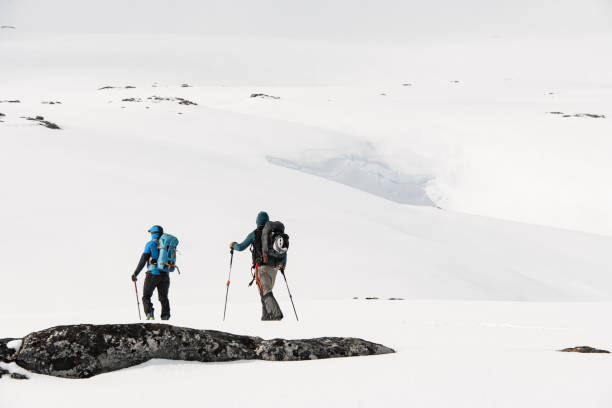 istock Two skiers are skiing down a mountain slope on a white background 2163902311