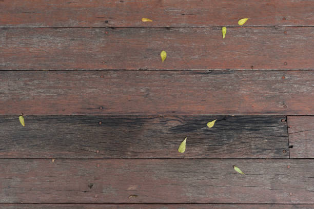Close Up of Dried Leaf on Wooden Deck