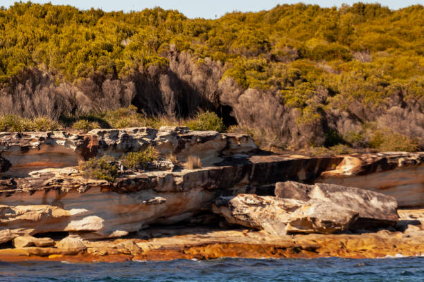 Cronulla, New South Wales, Australia