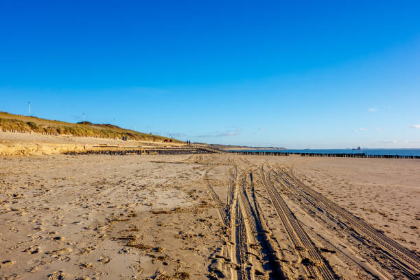 Mid winter view of the beach in the Netherlands