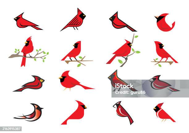 Simple Cardinal Design Creative Cardinal Bird Vector Collection Design Illustration Stock ...