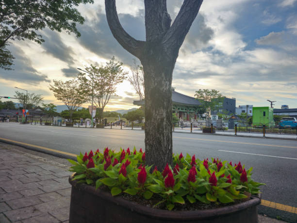 A tree with red flowers in a planter on a sidewalk
