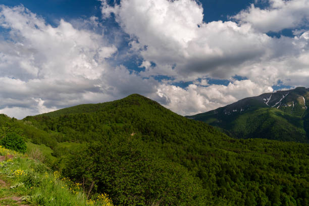 istock Green hills and forested mountains under blue sky 2163919022