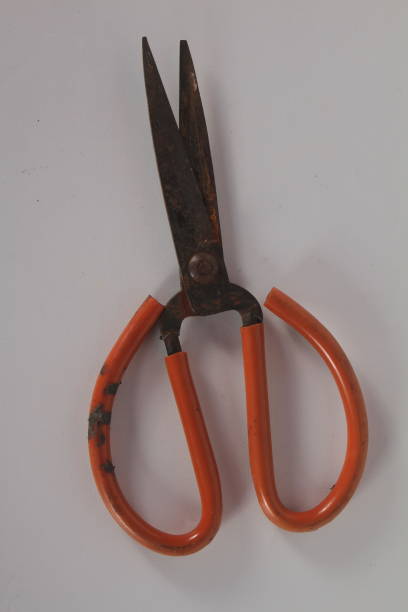 istock wire scissors made of stainless are very sharp and strong 2163920888