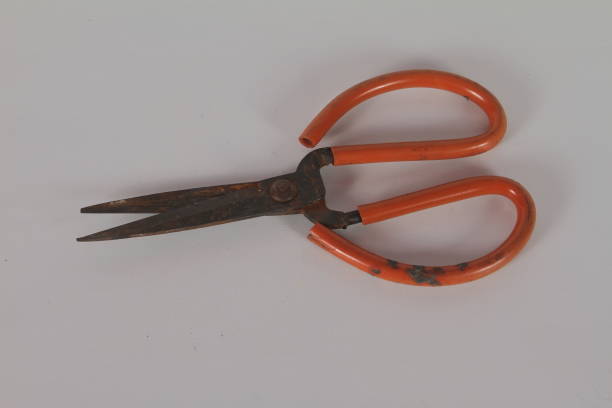 istock wire scissors made of stainless are very sharp and strong 2163920890
