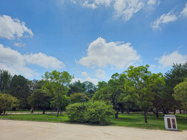 A park with a few trees and a bench. The sky is blue with a few clouds