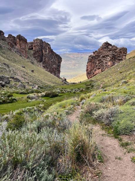 istock Canyon walls and lush shrubs 2163927449